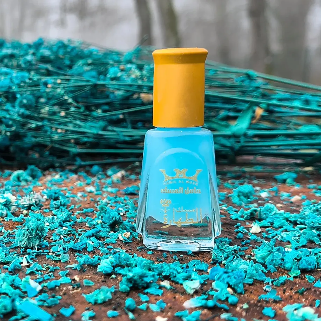 Musc Tahara Blueberry 6ml — Dar Nūr