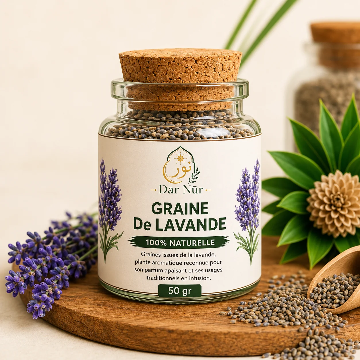 Graine de Lavande — Dar Nūr